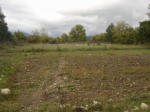 2 Plots